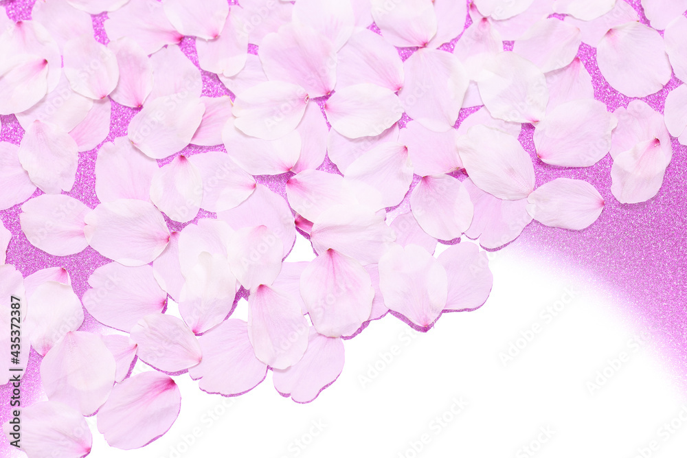 桜の花びら 桜の花びら