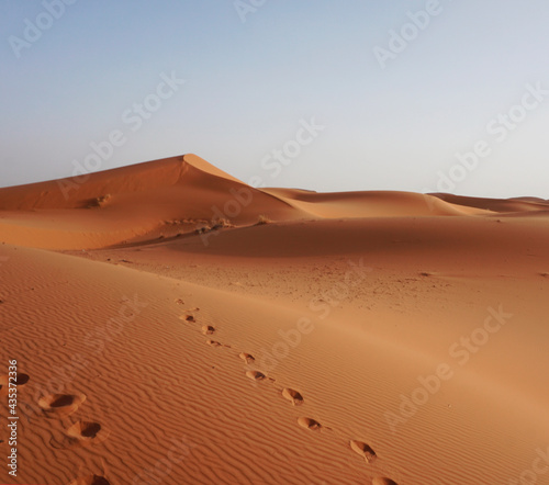 The dunes of Erg Chebbi  Morocco