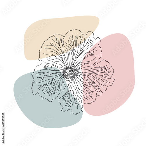 Flower hand drown vector illustration. Concept of minimalist. vector illustration for print, cards, wedding invitations. Hand-drawn decorative element.