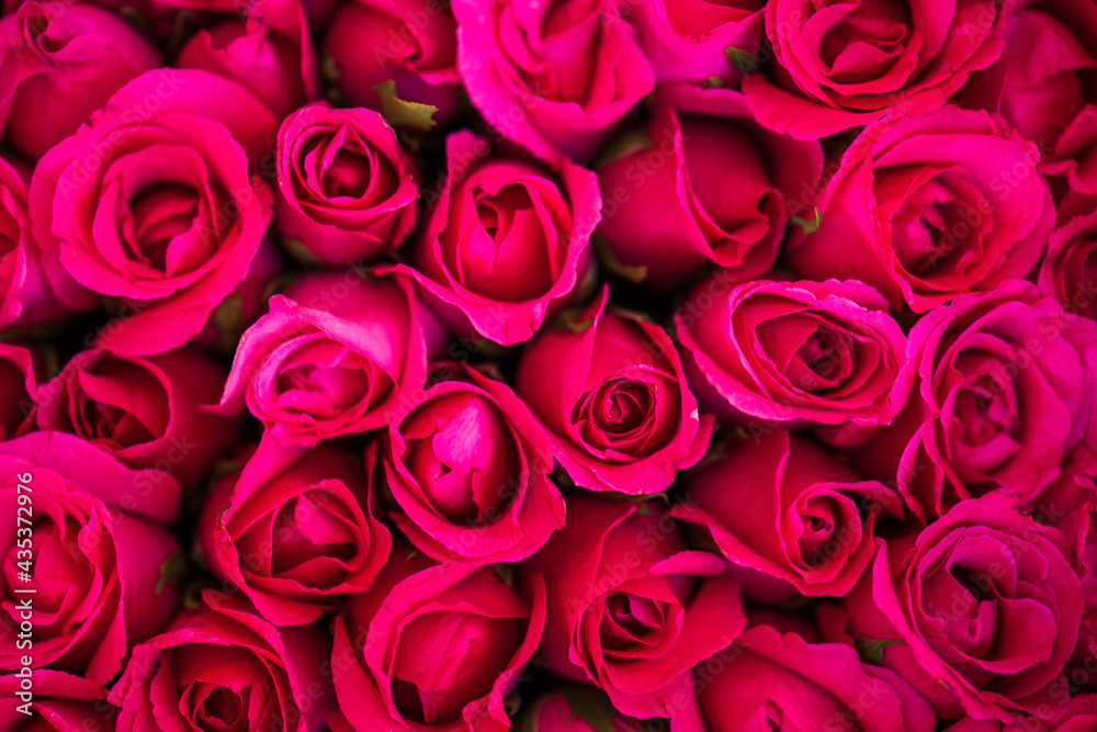 Fototapeta premium Red roses textured background