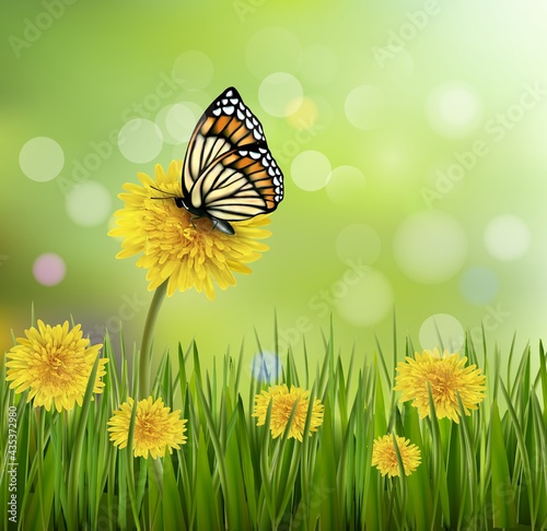 Green Summer Background With Dandelions Butterfly