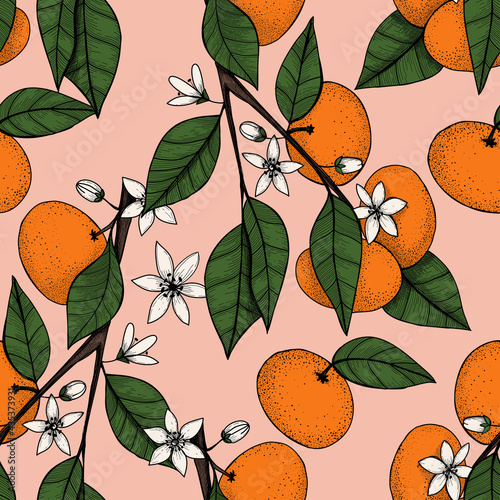 Tropical or Christmas teme seamless pattern with tangerines on a branch. Hand drawn vector isolated illustration, in vintage style