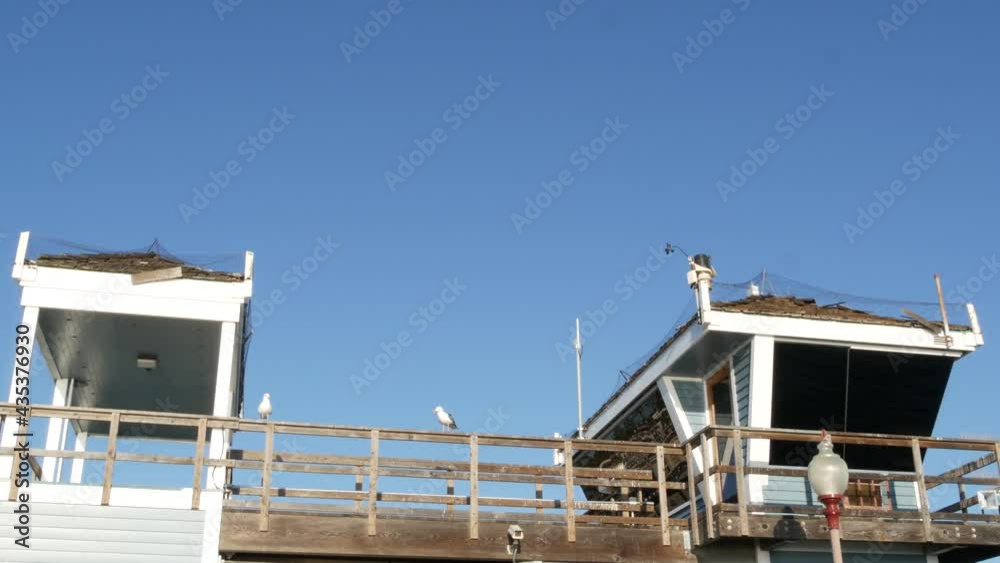 Seagull bird by lifeguard tower, Oceanside wooden pier, California USA. Blue life guard watchtower, clear sky. Ocean beach resort near Los Angeles. Pacific coast summertime vibes. Rescue on boardwalk. Seagull bird by lifeguard tower, Oceanside wooden pier, California USA. Blue life guard watchtower, clear sky. Ocean beach resort near Los Angeles. Pacific coast summertime vibes. Rescue on boardwalk.
