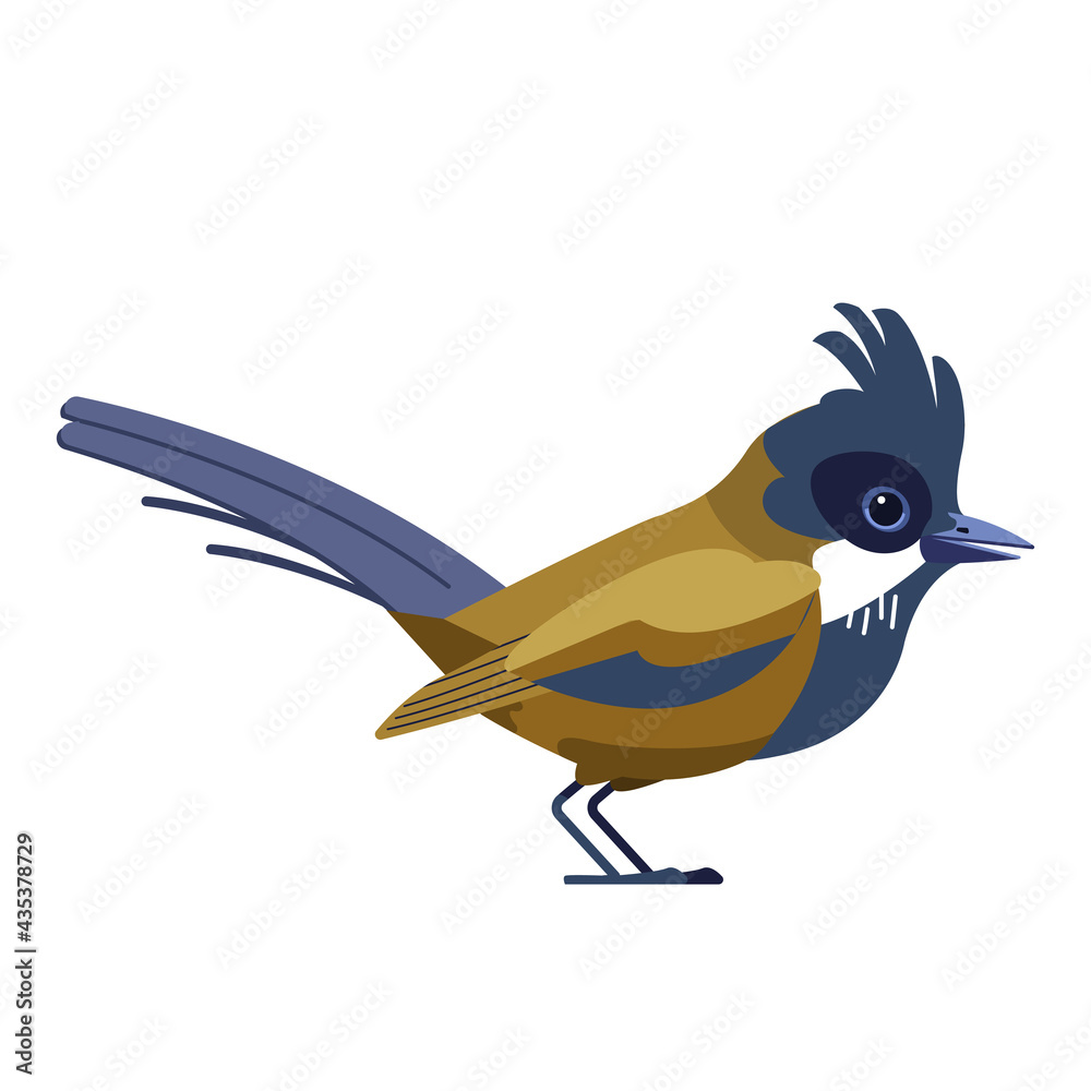 Obraz premium Dartford warbler birds is a typical warbler from the warmer parts of western Europe. Scientific name Curruca UNdata. Cartoon flat style beautiful character of ornithology, vector illustration