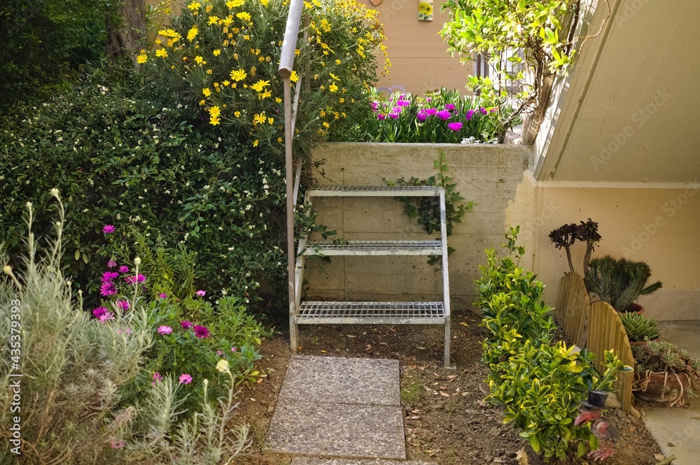 A steel ladder in a home garden with plants and flowers (Pesaro, Italy, Europe)