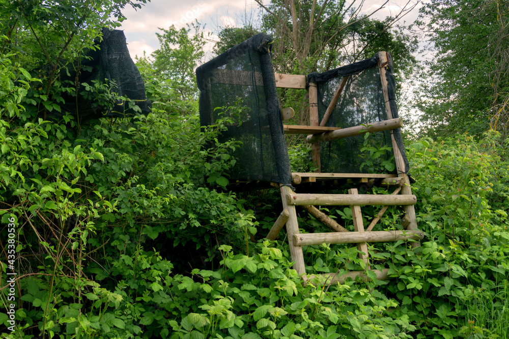 Lookout wooden ladder seat, also known as hunter's seat, hunter's high seat between the trees in nature for observing wild animals, animal world covered with camouflage hunting camouflage net Lookout wooden ladder seat, also known as hunter's seat, hunter's high seat between the trees in nature for observing wild animals, animal world covered with camouflage hunting camouflage net