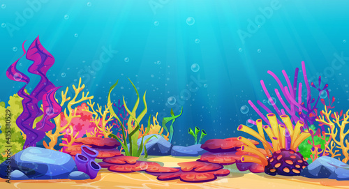 Stampa su tela Corals and algae underwater world, sea bottom cartoon background