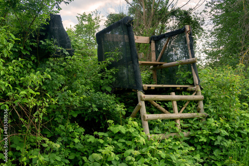 Lookout wooden ladder seat, also known as hunter's seat, hunter's high seat between the trees in nature for observing wild animals, animal world covered with camouflage hunting camouflage net