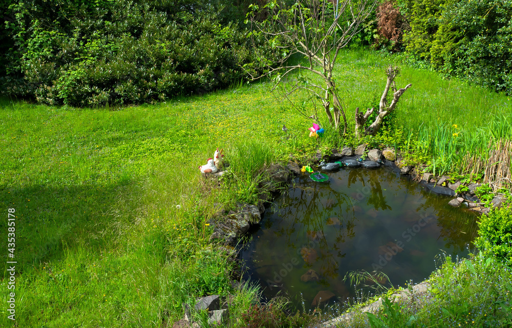 Teich- Gartenteich
