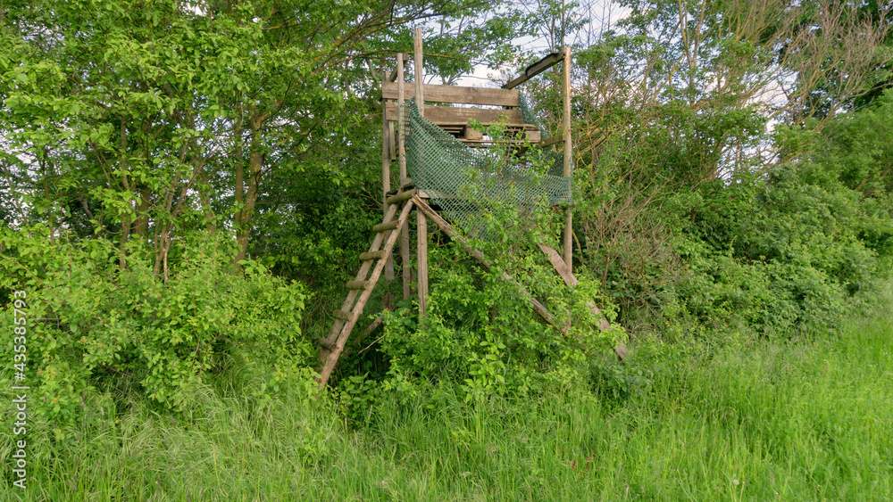 Lookout wooden ladder seat, also known as hunter's seat, hunter's high seat between the trees in nature for observing wild animals, animal world covered with camouflage hunting camouflage net Lookout wooden ladder seat, also known as hunter's seat, hunter's high seat between the trees in nature for observing wild animals, animal world covered with camouflage hunting camouflage net