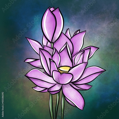 Drawn beautiful and bright lotus flower or water lily