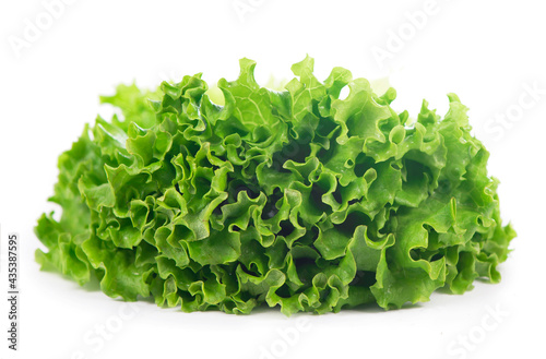 Freshness green leaf lettuce on white background