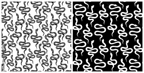 Snake seamless pattern. Vector serpent background silhouettes. Black and white wild animal print. Isolated hand drawn snakes repeat pattern.