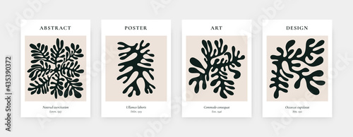 Art contemporary posters. Abstract Matisse inspired shapes for interior decor. Mid century prints, vector illustration photo