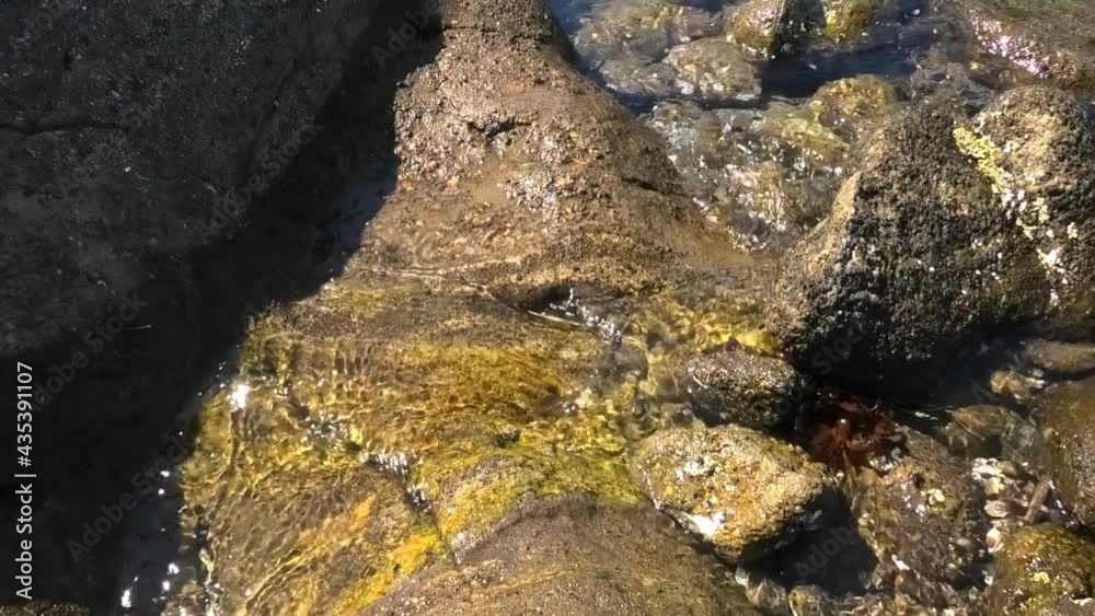 三浦市 海岸 三浦市 海岸