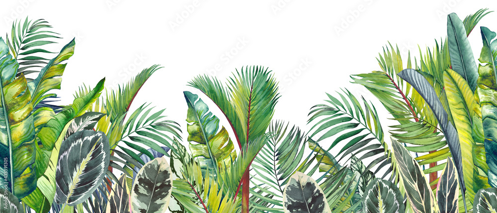 Endless watercolor border with green tropical palm leaves. Hand drawn illustration on white. - obrazy, fototapety, plakaty 