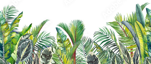 Endless watercolor border with green tropical palm leaves. Hand drawn illustration on white.