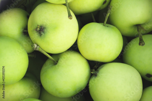 Fresh green apples in the garden, healthy fruits background, vegetarian organic food