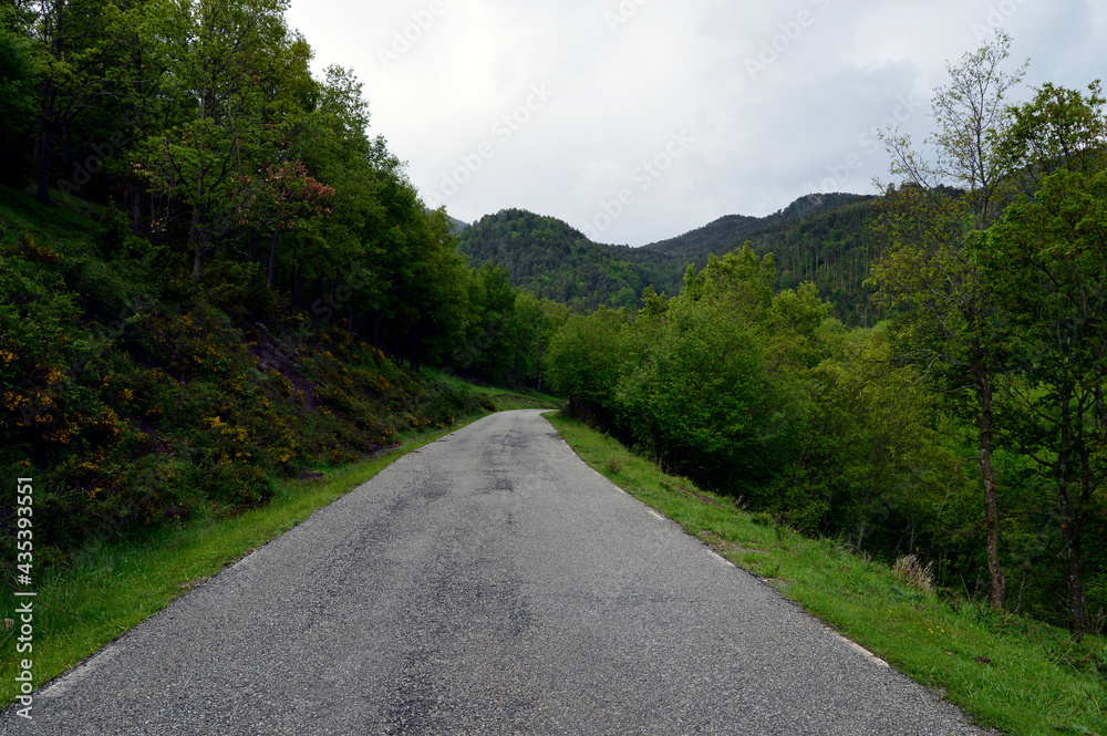 Carretera secundaria rodeada de verdes praderas y bosques de robles y pinos en la Sierra de Montgrony. Gombrén, Cataluña, España.