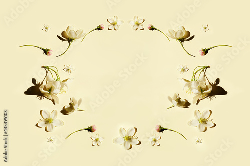 Creative layout made of apple flowers.