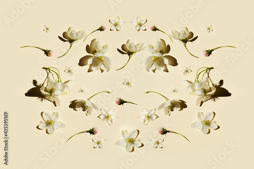 Creative layout made of apple flowers. © Svetlana Borisova