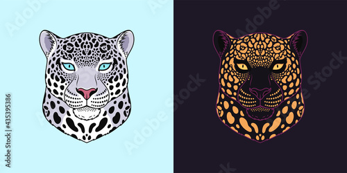 White and black jaguar head with blue and golden eyes, isolated jaguar face. Panther, predatory wildcat
