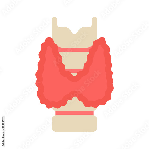 Thyroid gland and endocrine health care. Checkup endocrinologists medical research, diagnostics and examination hormones. Concept of thyroid disease, hypo- and hyperthyroidism, cancer. Vector