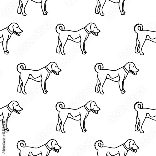 Vector seamless pattern of dogs in line art style. Black and white drawing.