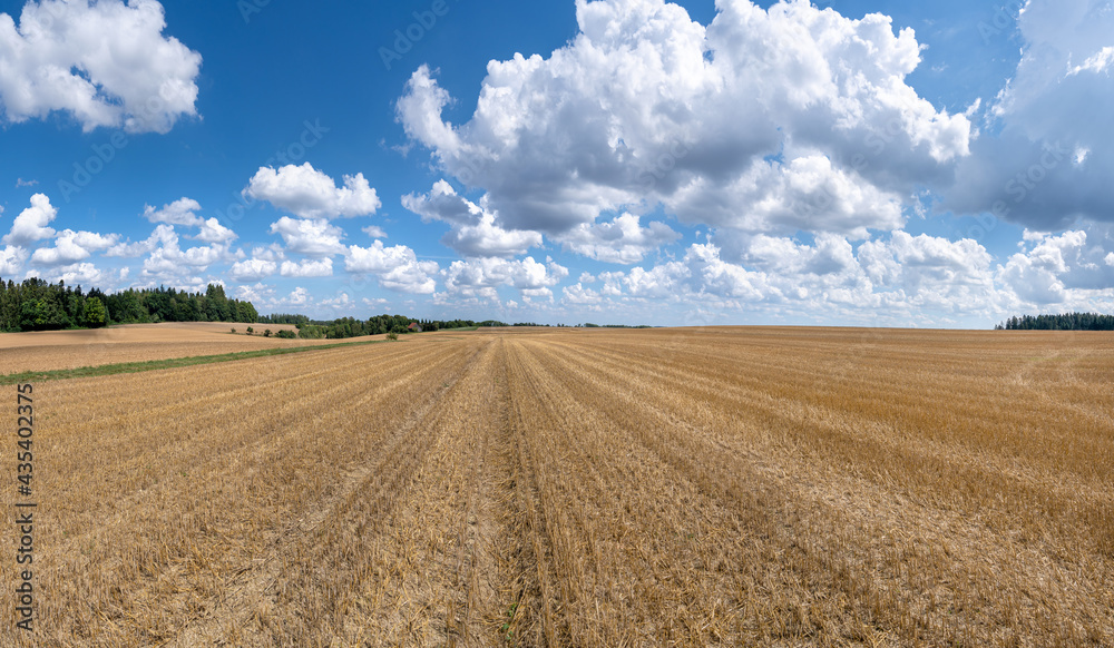 Stoppelfeld Panorama in ländlicher Natur im Sommer mit beeindruckender Wolkenlandschaft