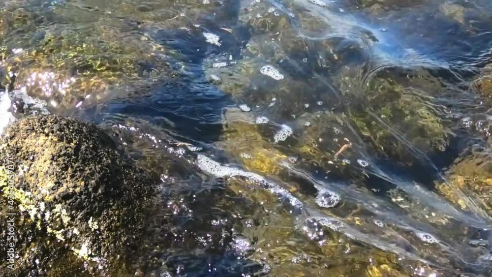 三浦市 海岸 三浦市 海岸