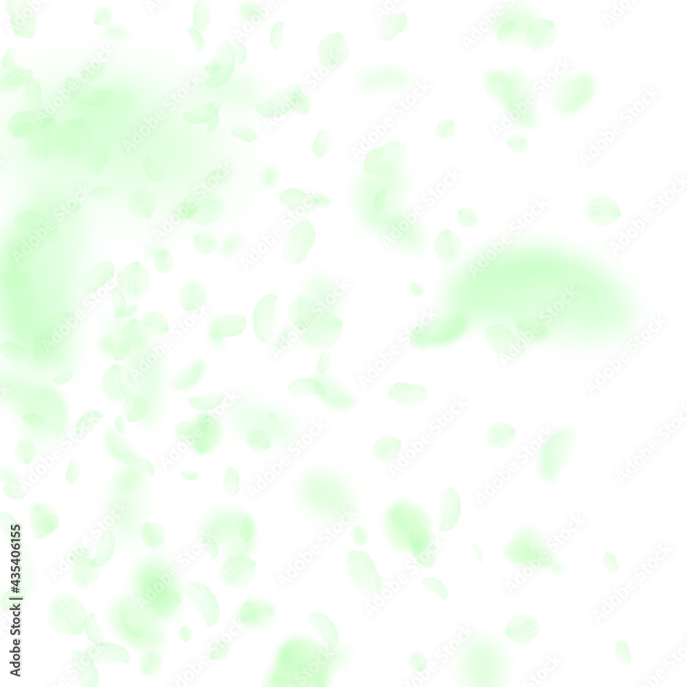 Green flower petals falling down. Bewitching roman Green flower petals falling down. Bewitching roman