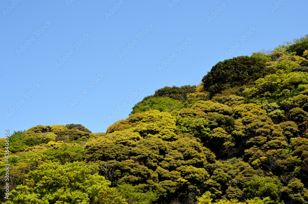 Obraz premium 新緑の山並みと青空