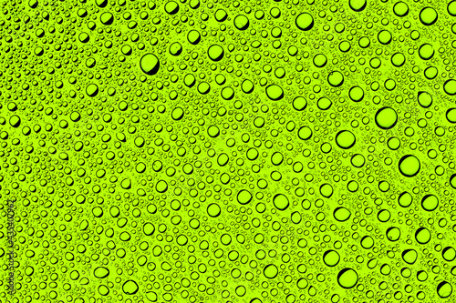 Rain window background. Water drops background. Wet glass surface texture. Bubble dew pattern. Transparent window green raindrops. Bright white environment condensation texture.