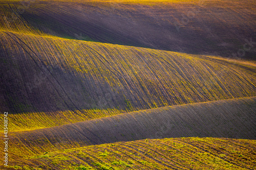 Wavy agricultural field of Moravian Tuscany. Czech Repulbic