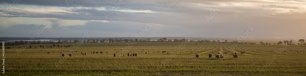 view of the countryside view of the countryside