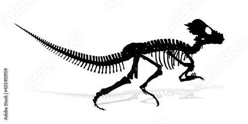 Fototapeta Naklejka Na Ścianę i Meble -  The Skeleton of ancient big dinosaur.