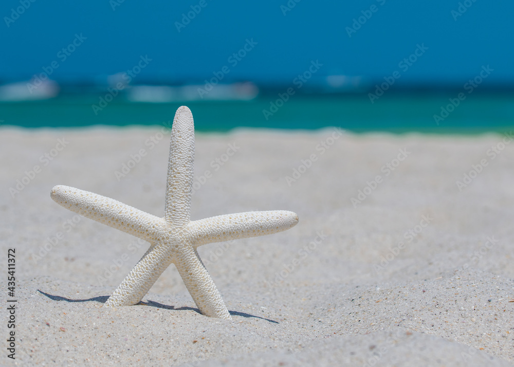 Starfish or Sea Star. Ocean and Beach sand. Summer vacations. Bright sunny day and blue color of salt water. Florida paradise. Tropical nature. Seascape Concept for travel agency or post card. Starfish or Sea Star. Ocean and Beach sand. Summer vacations. Bright sunny day and blue color of salt water. Florida paradise. Tropical nature. Seascape Concept for travel agency or post card.