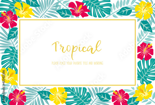 トロピカルモチーフのフレーム素材