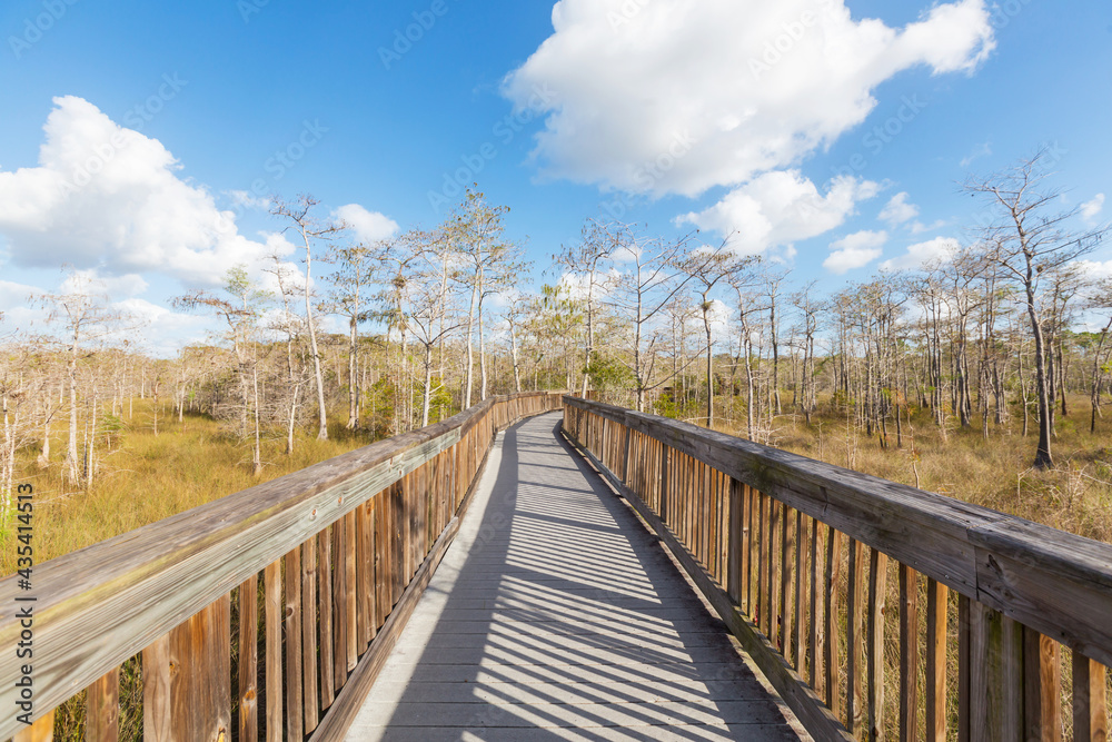 Boardwalk in Everglades Boardwalk in Everglades