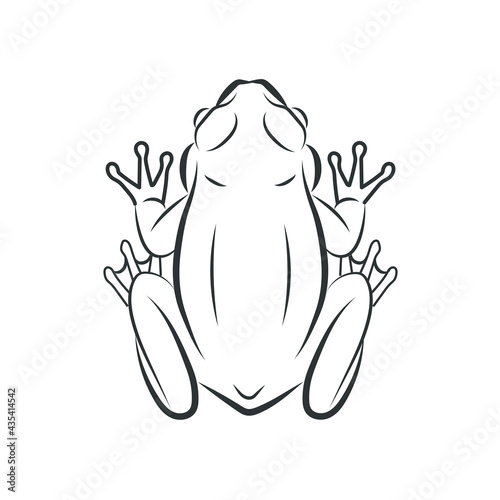 Obraz na plátně Vector of frog, image design Isolated on the white background