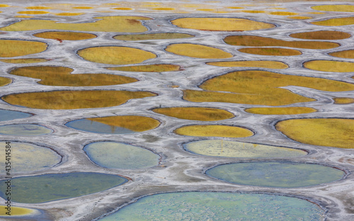 Fototapeta Naklejka Na Ścianę i Meble -  Spotted lake