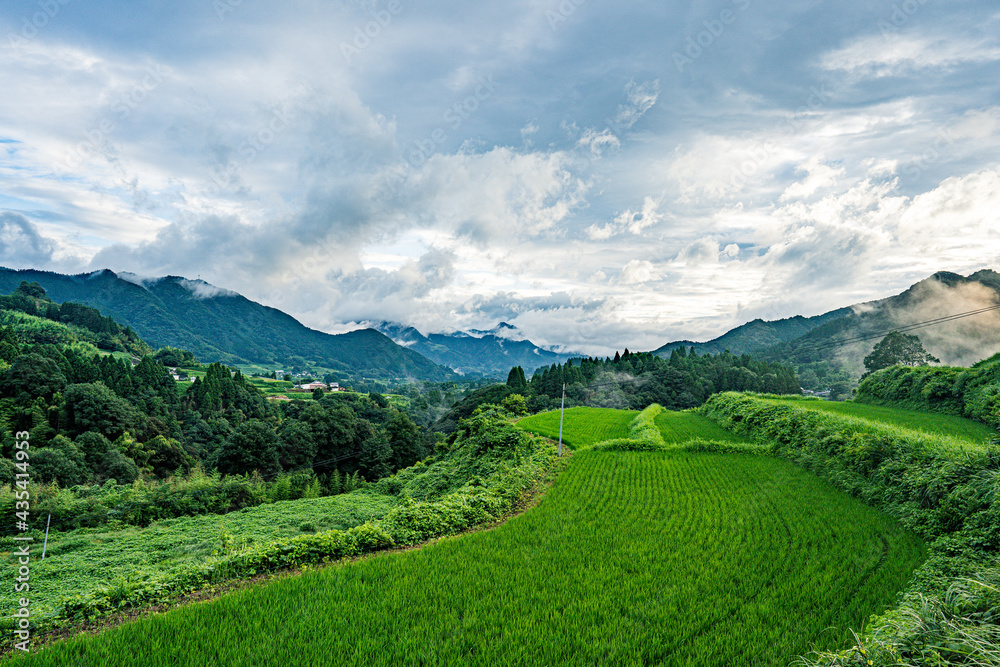 田舎の風景