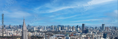 Tokyo skyline panorama, aerial view from Shinjuku, Japan. Panoramic web banner with copy space
