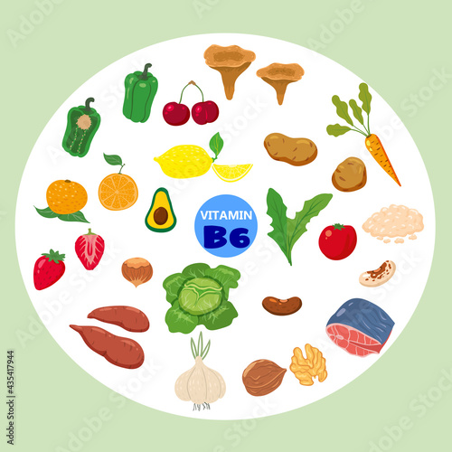 Set of Vitamin B6 origin natural sources. Healthy diary food meat, vegetable, egg, nuts, fish, beetroot. Organic diet products, natural nutrition collection. Vector flat cartoon illustration isolated