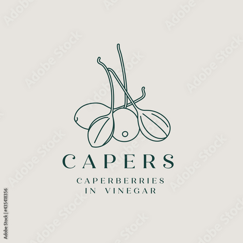 Vector illustration pickled capers - simple linear style. Logo composition with caperberries and typography.