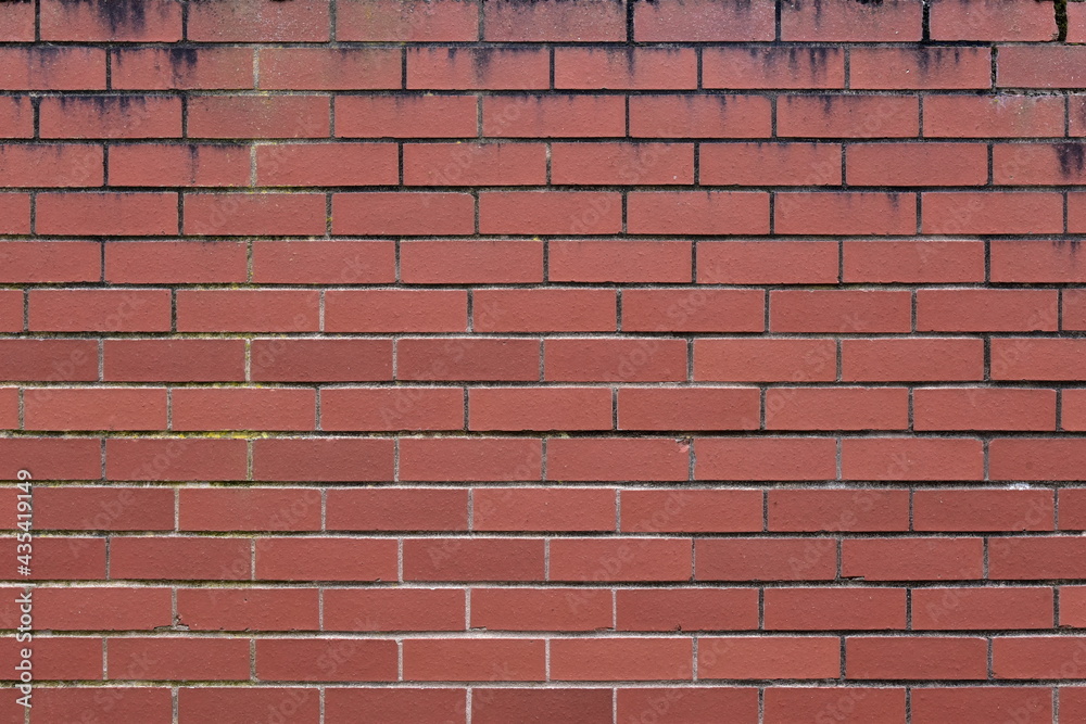 Fototapeta premium red brick wall