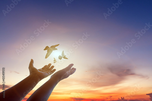 Woman freedom praying and free bird enjoying nature on sunset or sunrise background,hope concept