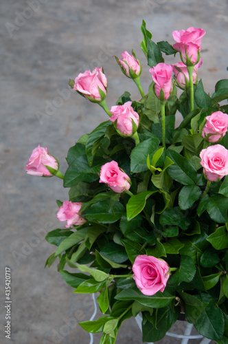 Pink roses bouquet