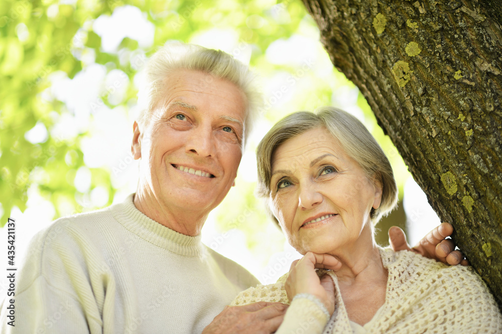 beautiful senior couple posing in the park beautiful senior couple posing in the park