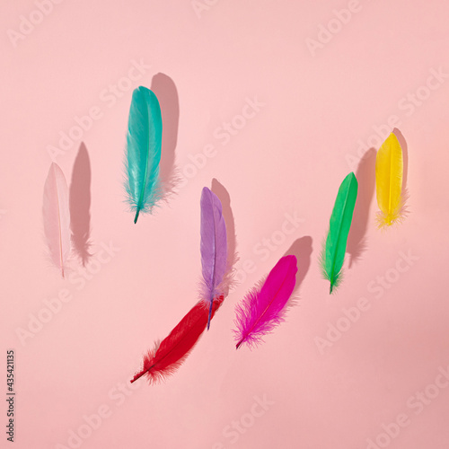 tropical pink, red, green, blue, purple and orange feathers fluing in the air on the bright pink background. creative decoration idea. abstract art © Jelena